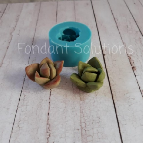 FS 3D SUCCULENT FS 3D SUCCULENT